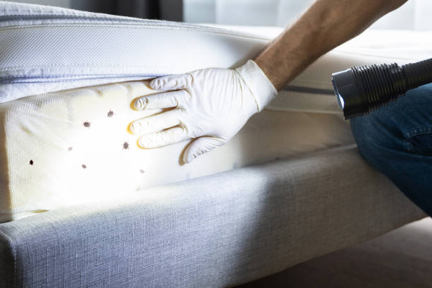 Pest Control for Restaurants in Southaven, MS